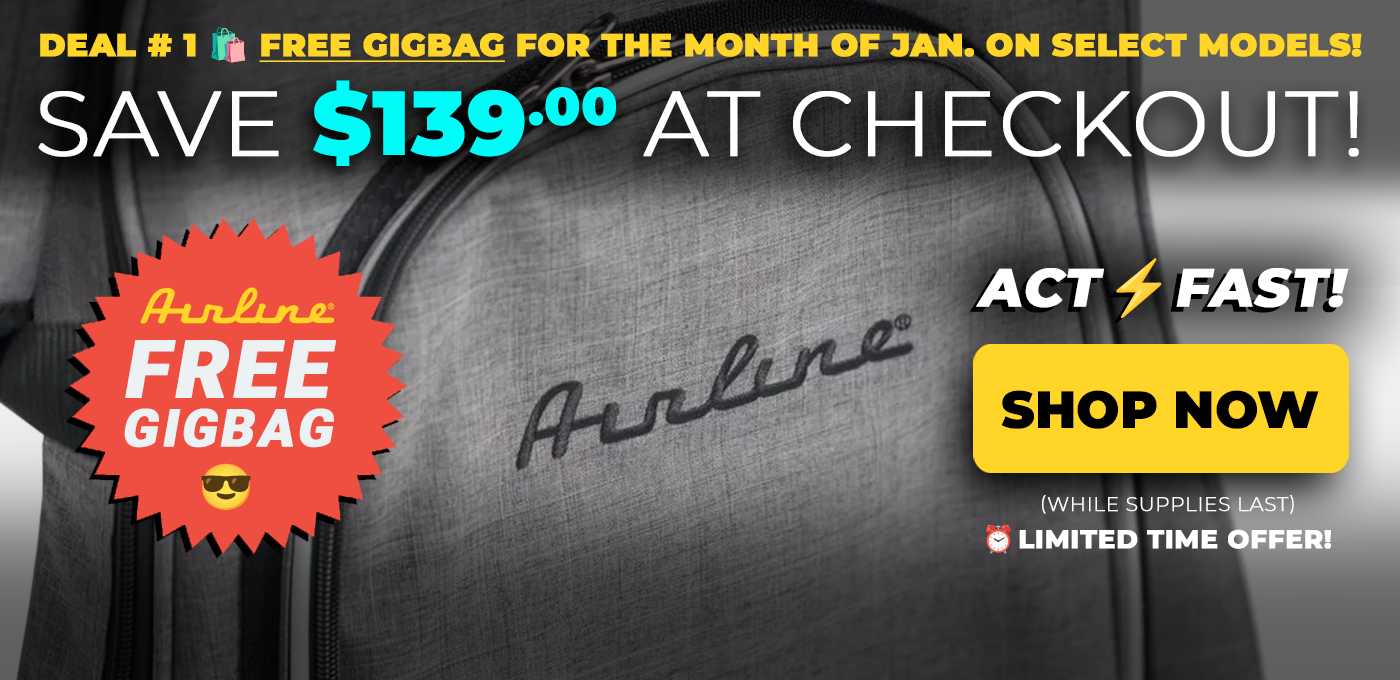 Get a FREE GIGBAG w/ Purchase